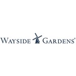 50 Off Wayside Gardens Promo Codes Coupons Feb 2020