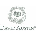 20% Off David Austin Voucher Codes & Coupons - April 2021