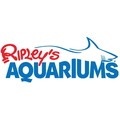 Ripley's Aquarium Coupons: 20% Off Promo Code 2020 - Ripleyaquariums.com