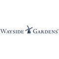 50 Off Wayside Gardens Promo Codes Coupons Feb 2020