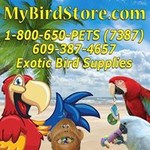 discount bird store
