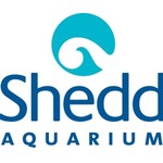 sheddaquarium.org coupons or promo codes