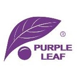 Purple Leaf