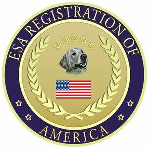 40 Off Esa Registration Coupon Promo Code Oct 2021