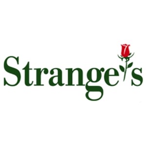 9 Stranges Coupons Promo Codes Aug 2021