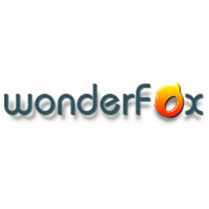 wonderfox video watermark