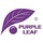 Purple Leaf