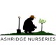 Ashridge Trees