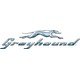 Greyhound