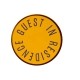 Guest In Residence