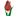 Holland Bulb Farms