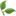 DrNatura