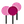 Gift Blooms