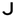 Judaica