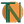 Tera Naturals