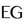 Engravers Guild
