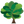 Forest Super Foods